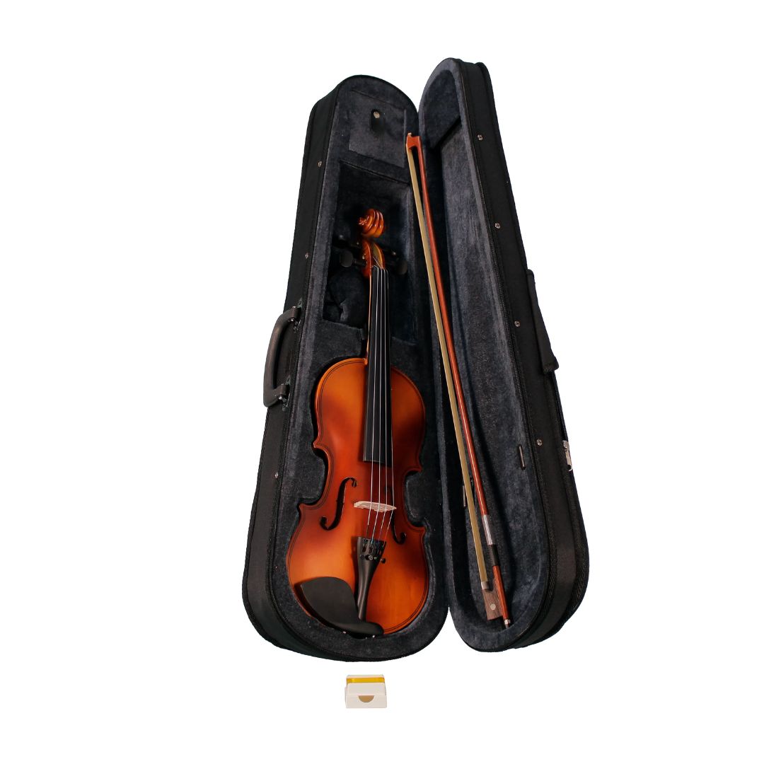Violín, incluye accesorios y estuche semiduro, varios tamaños