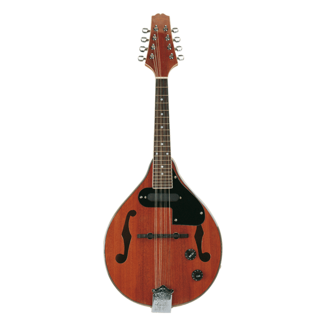 Mandolinas - Instrumentos
