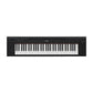 NP15B Teclado Piaggero, 61 teclas, no incluye transformador
